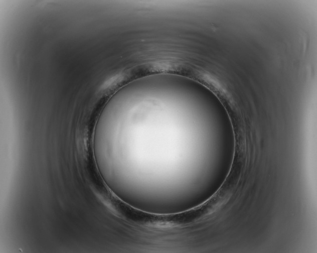 X0000086250590200704051242