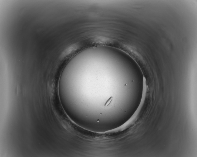 X0000086250591200704051242