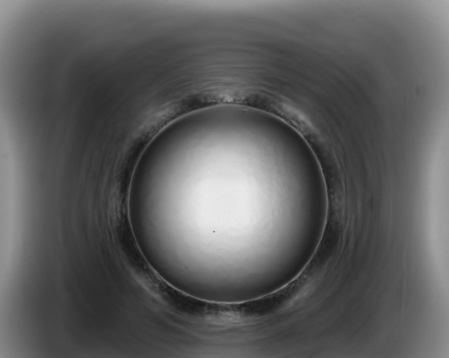 X0000086250594200704051242