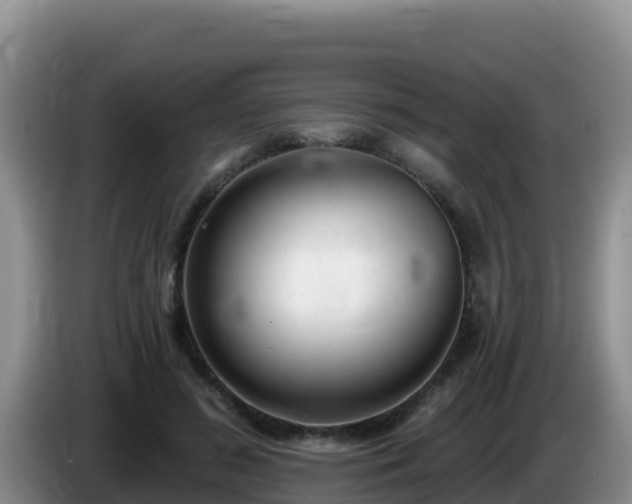 X0000086250596200704051242
