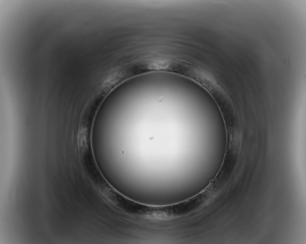 X0000086250598200704051242