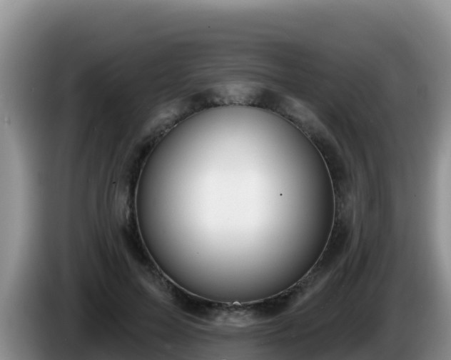 X0000086250599200704051242