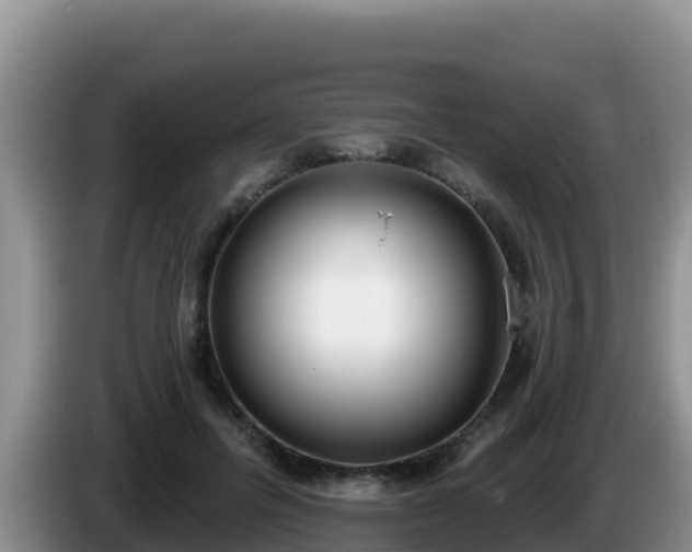 X0000086250600200704051242