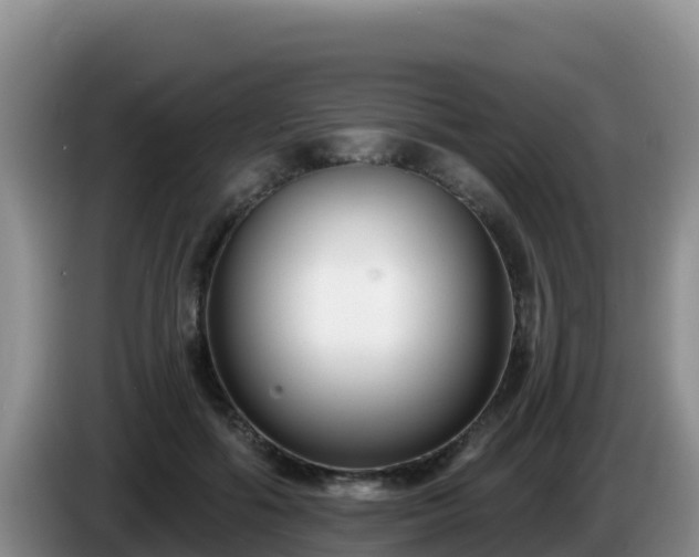 X0000086250602200704051242
