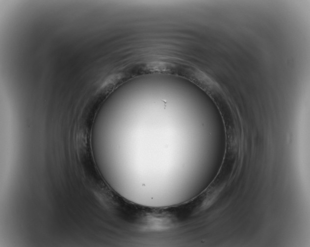 X0000086250603200704051242