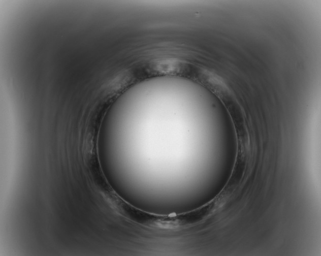 X0000086250606200704051242