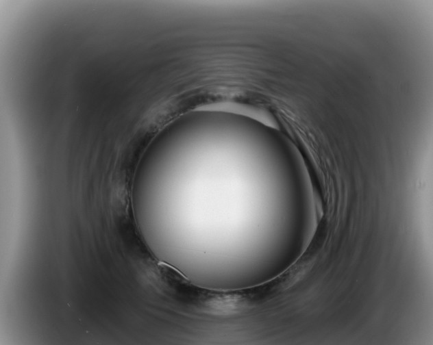 X0000086250609200704051242