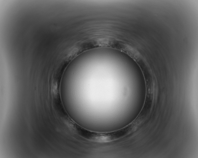 X0000086250610200704051242