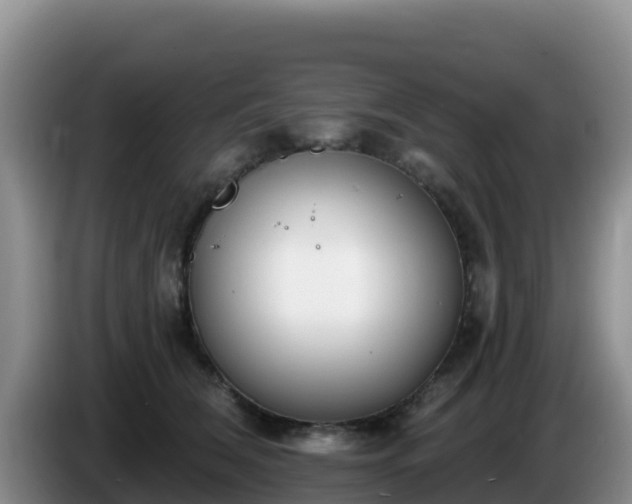 X0000086250612200704051242