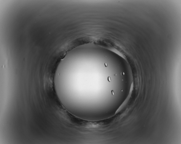 X0000086250613200704051242