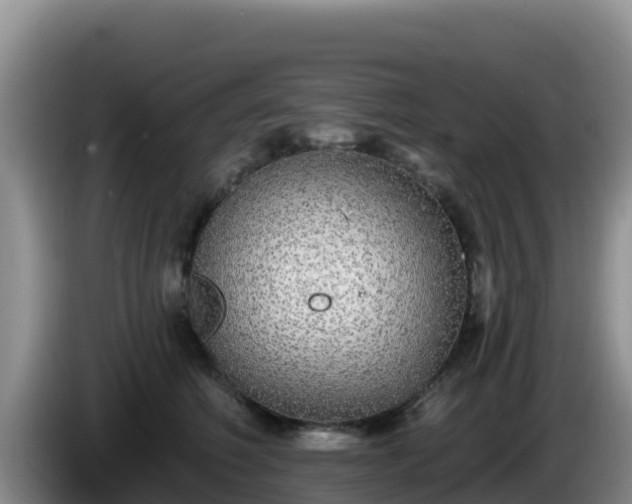 X0000086250614200704051242