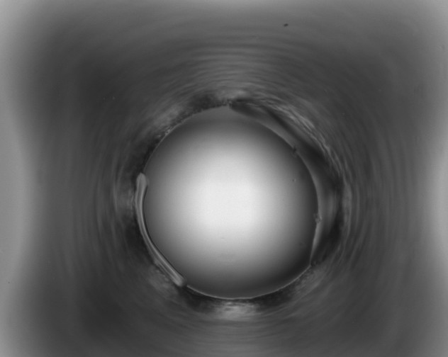 X0000086250617200704051242