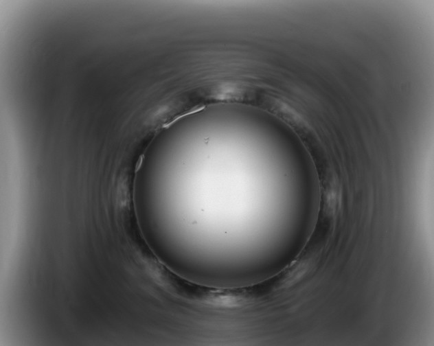 X0000086250620200704051242