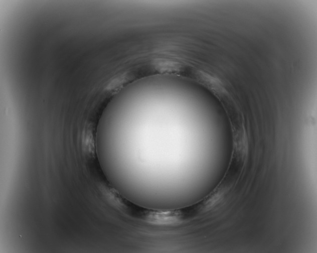 X0000086250622200704051242