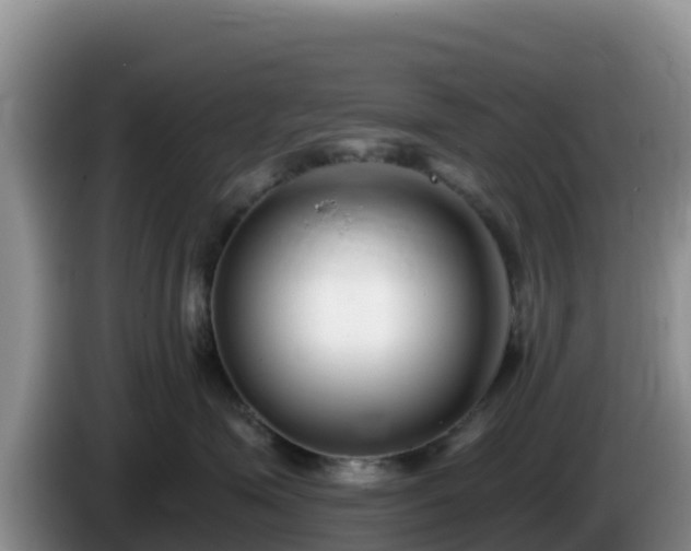 X0000086250623200704051242