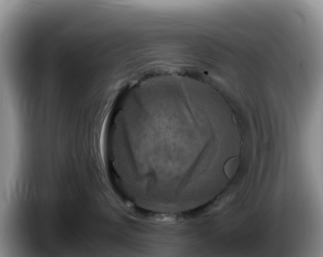 X0000086250624200704051242