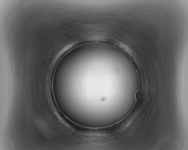 X0000086250625200704051241