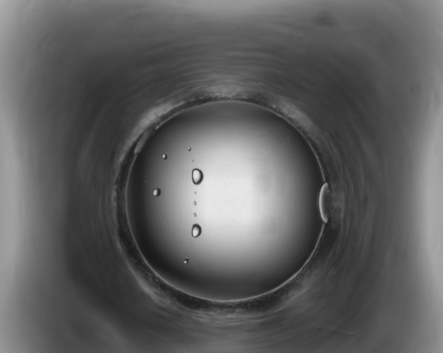 X0000086250626200704051241
