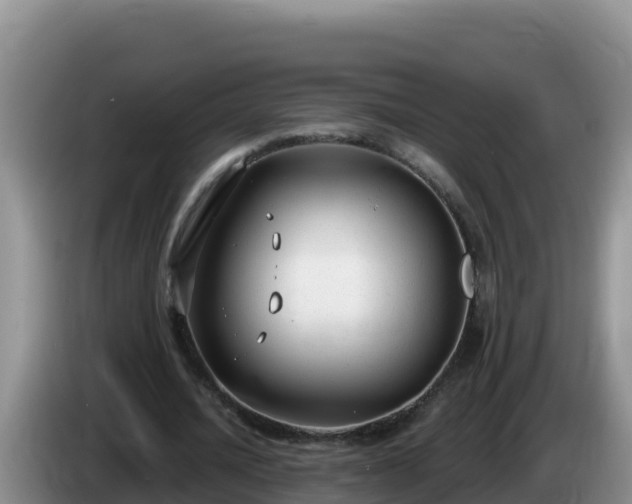 X0000086250628200704051241
