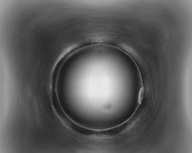X0000086250630200704051241