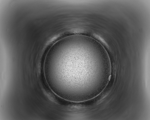 X0000086250631200704051241