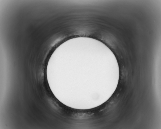X0000086250632200704051241