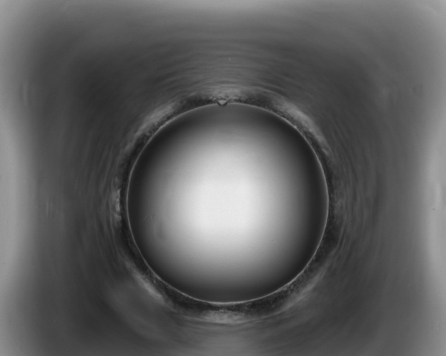 X0000086250633200704051241