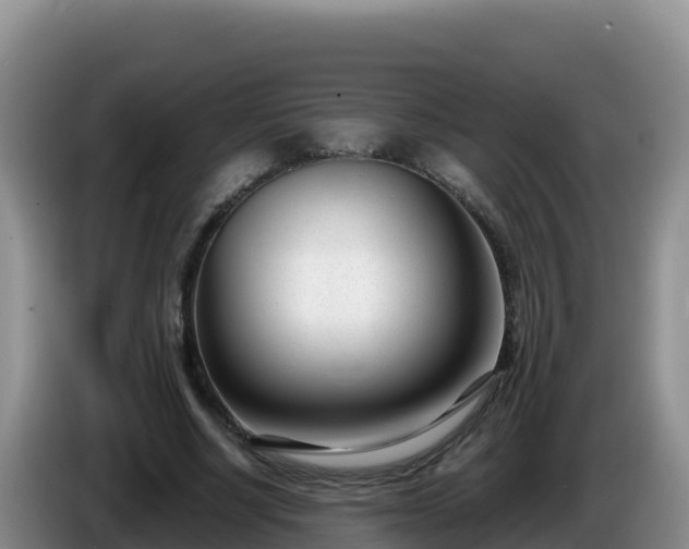 X0000086250634200704051241