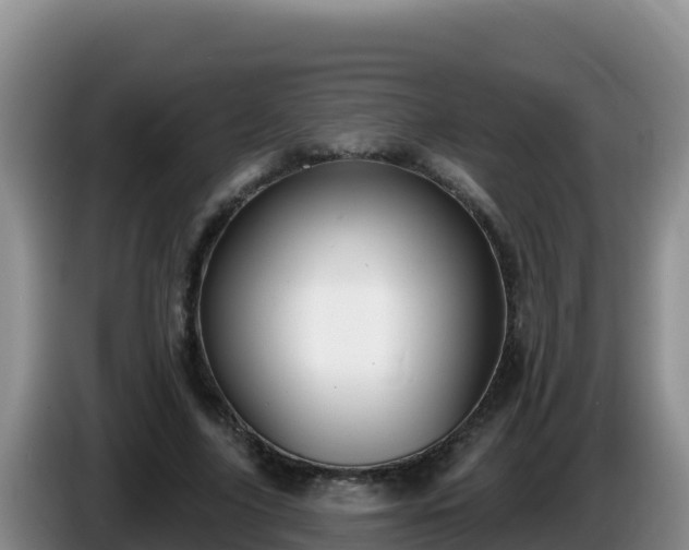 X0000086250635200704051241