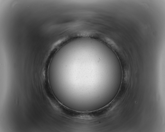 X0000086250636200704051241