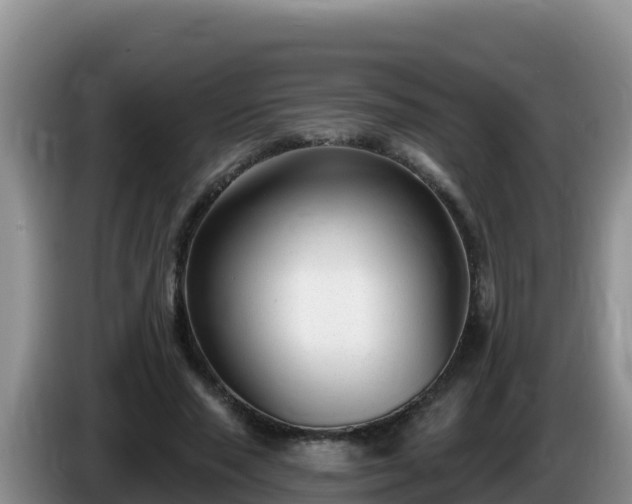 X0000086250637200704051242