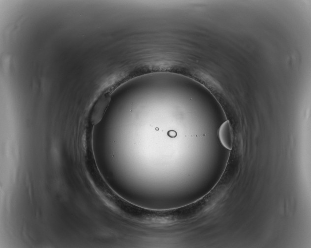 X0000086250638200704051242