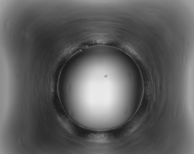X0000086250639200704051242