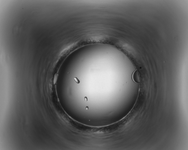 X0000086250640200704051242