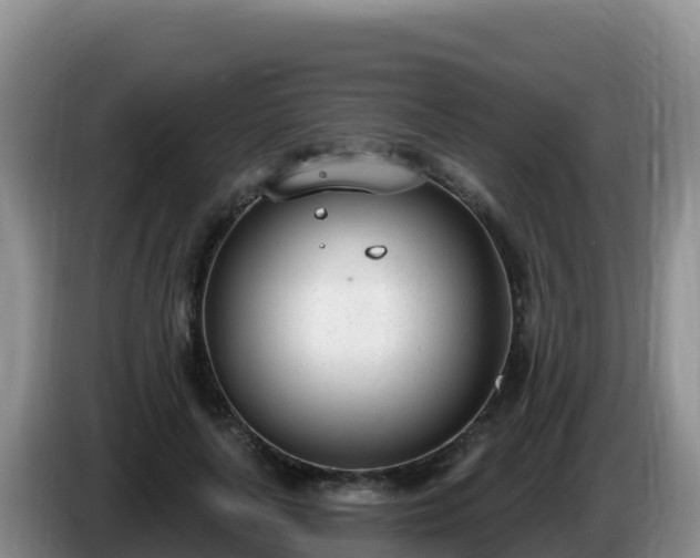 X0000086250643200704051242