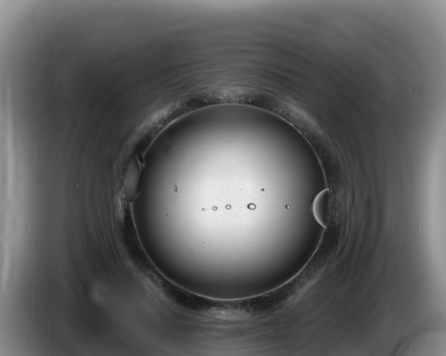 X0000086250644200704051242