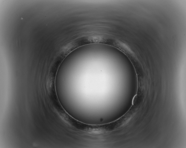X0000086250645200704051242