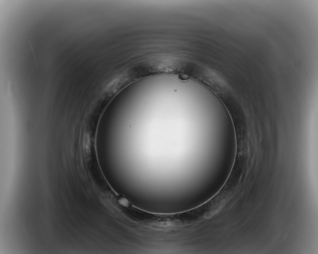 X0000086250646200704051242