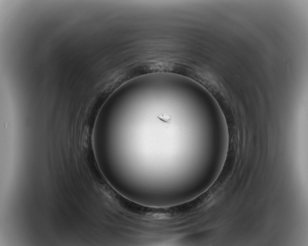 X0000086250649200704051242