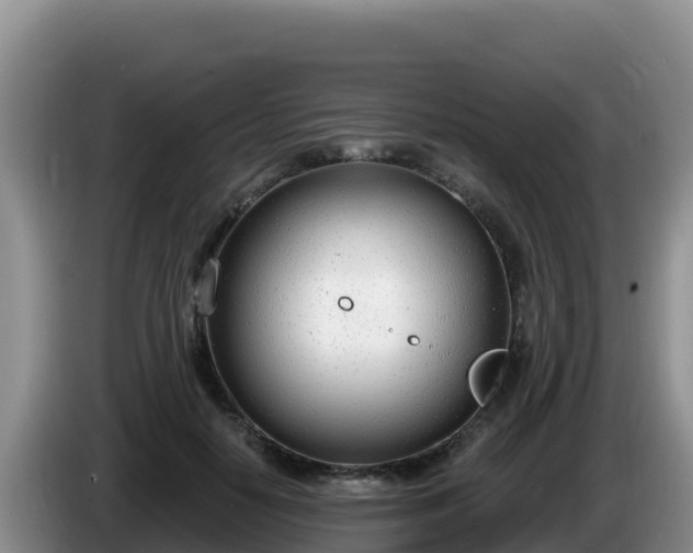 X0000086250650200704051242