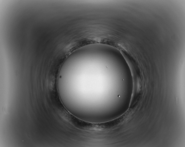 X0000086250656200704051242