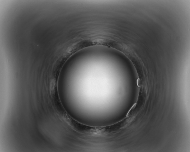 X0000086250660200704051242