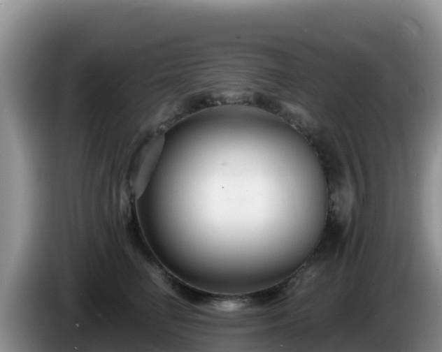 X0000086250662200704051242