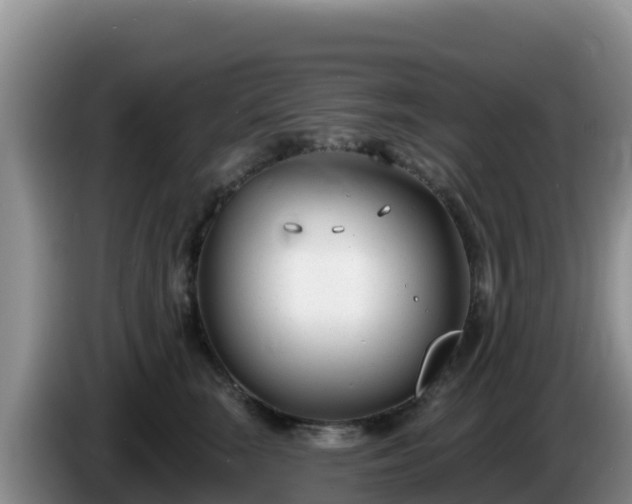 X0000086250663200704051242