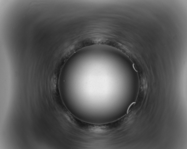 X0000086250664200704051242