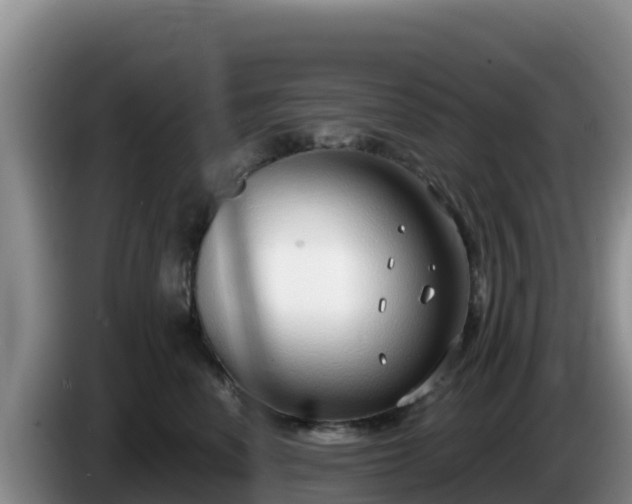 X0000086250666200704051242