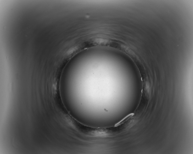 X0000086250668200704051242
