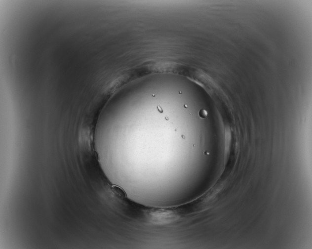 X0000086250669200704051242