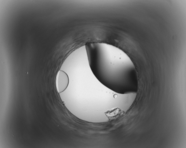 X0000086250672200704051242