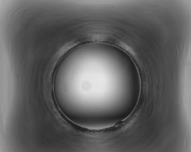X0000086250673200704051241